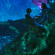 Illustration for article titled Avatar Wont Make You Go Native